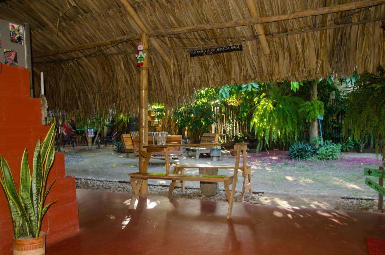 Hostal Corazon De Tagua Palomino Dış mekan fotoğraf