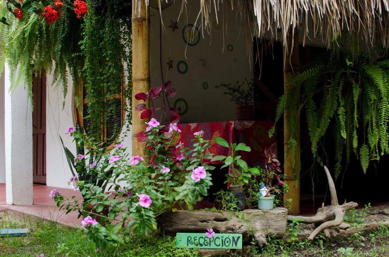 Hostal Corazon De Tagua Palomino Dış mekan fotoğraf