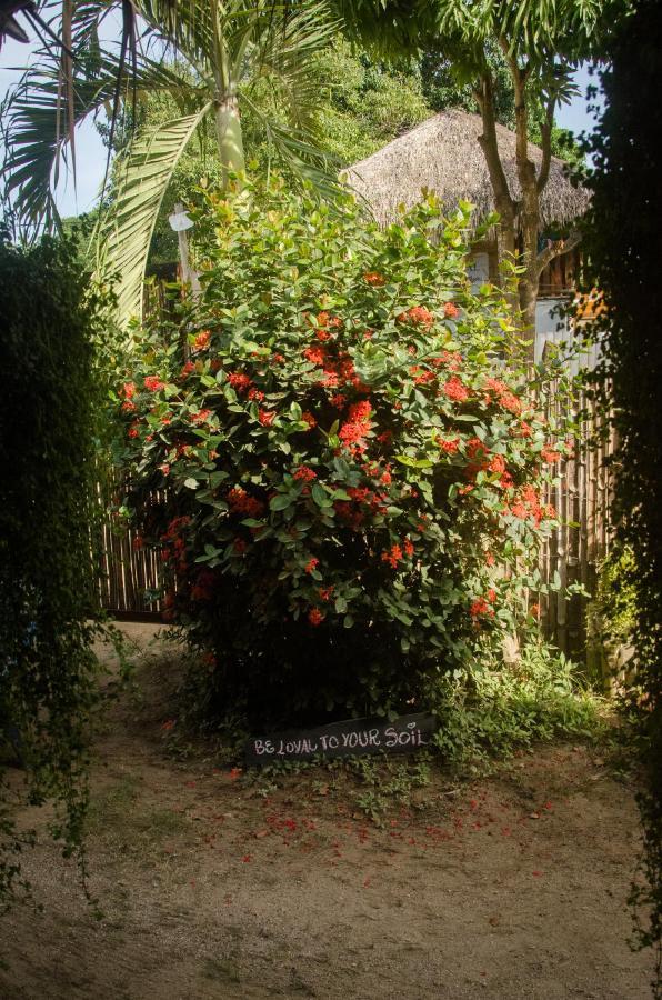 Hostal Corazon De Tagua Palomino Dış mekan fotoğraf